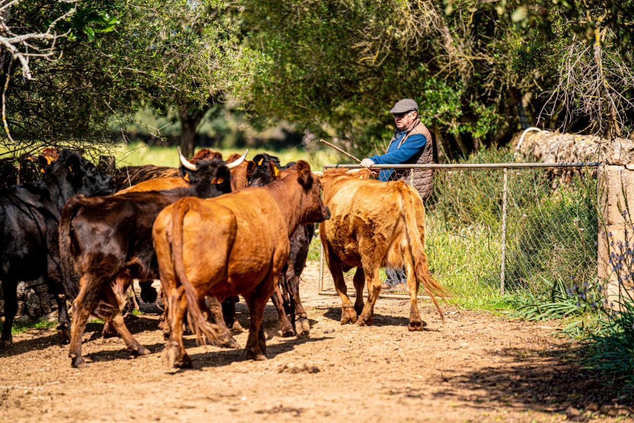 Finca Agroturismo Son Menut Felanitx Extérieur photo