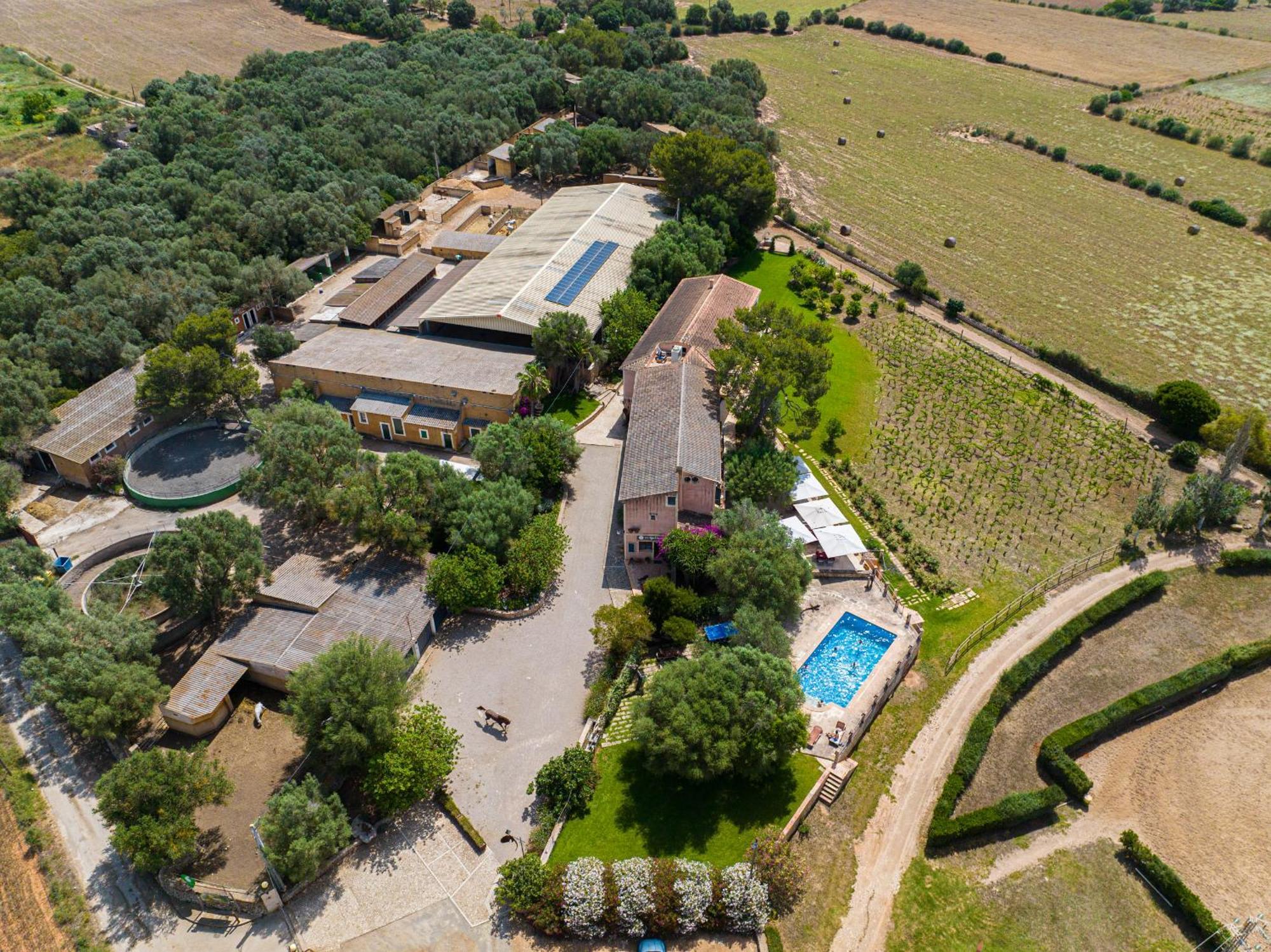 Finca Agroturismo Son Menut Felanitx Extérieur photo
