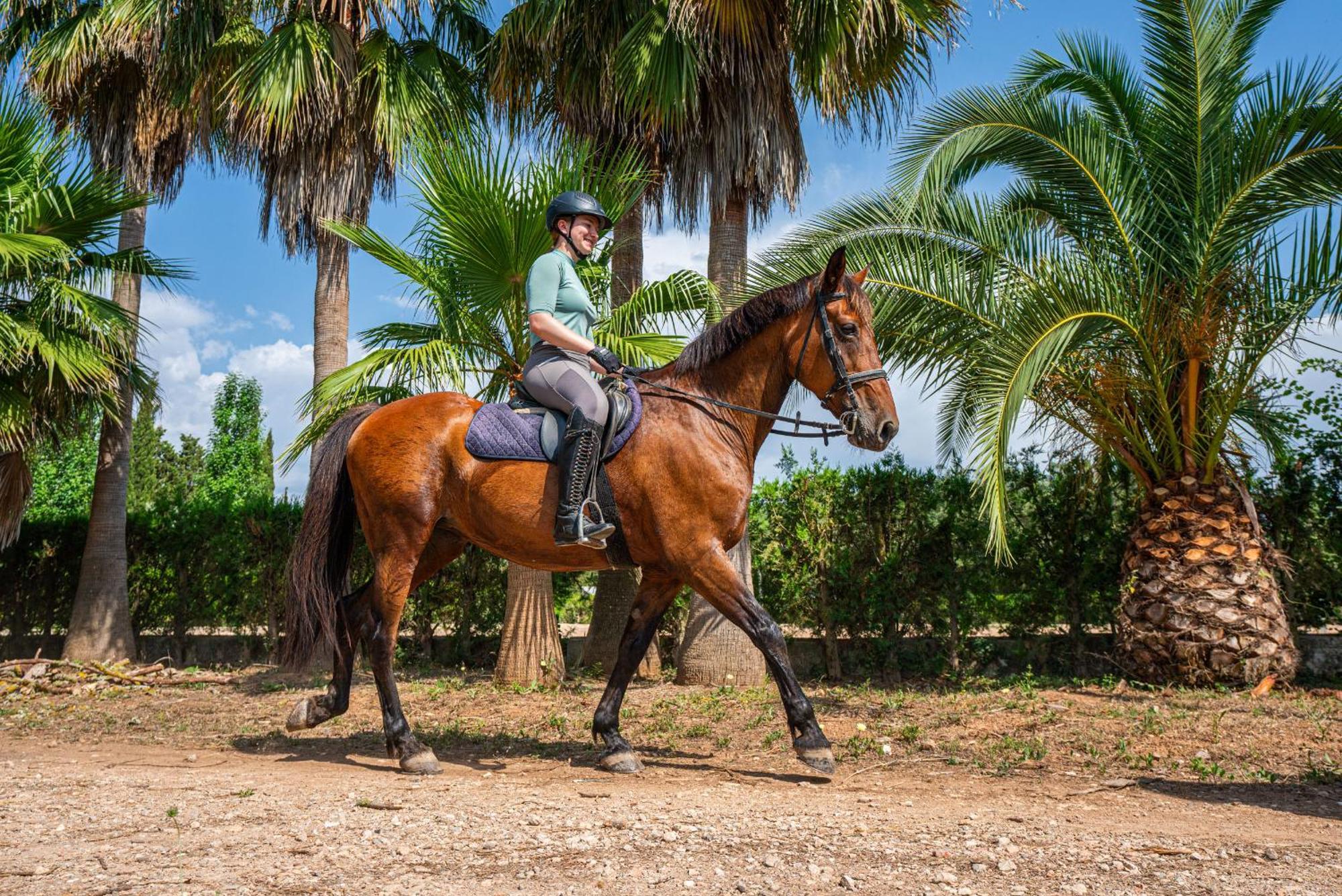 Finca Agroturismo Son Menut Felanitx Extérieur photo